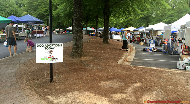 roswell-farmers-market-dog-adoptions