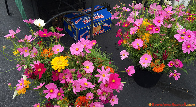 roswell-farmers-market-flowers