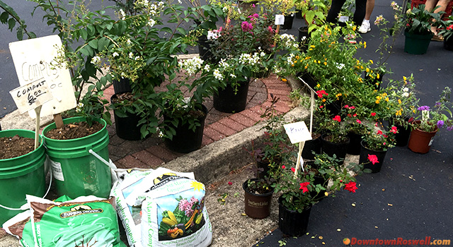 roswell-farmers-market-plants